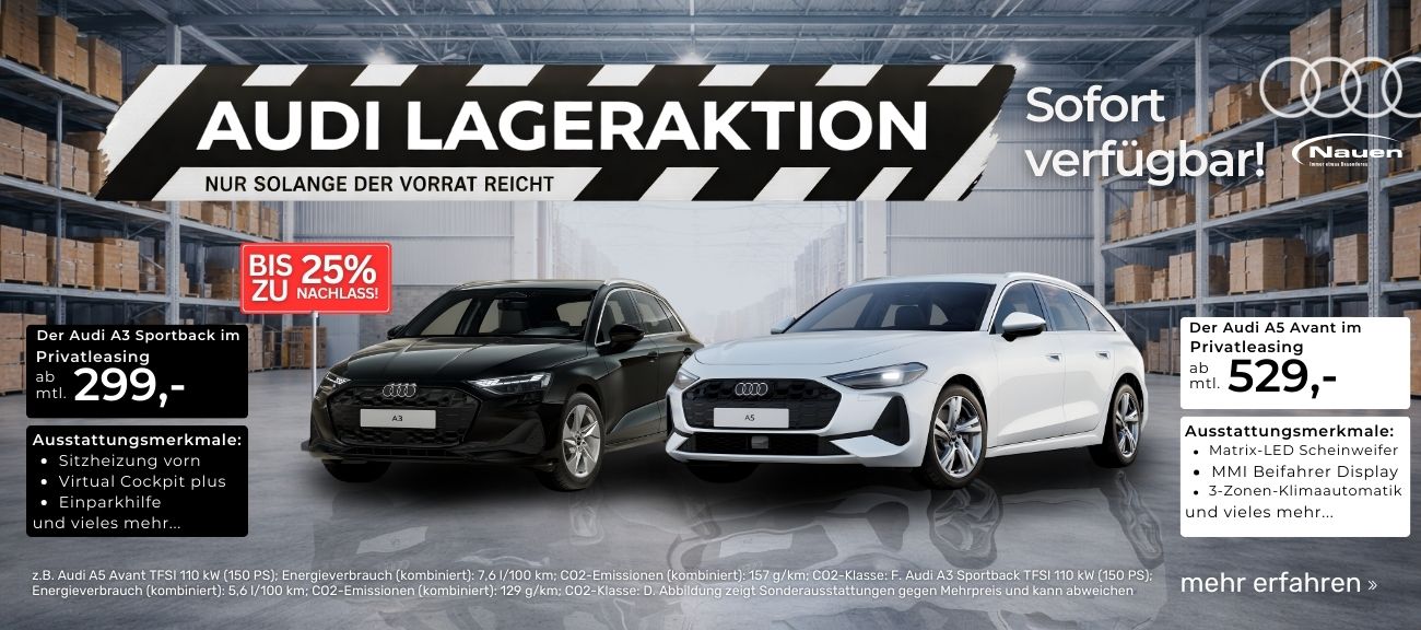 Audi Lager Sale